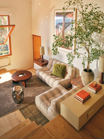 A cozy living room features a beige sofa, armchair, wooden coffee table, and the HKLIVING Currents Chrome Side Table—ideal for contemporary spaces. Sunlight streams onto a framed photo above the sofa as a large potted plant and books complete the look.