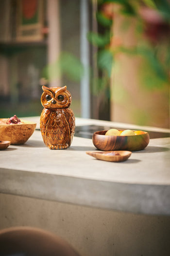 The HKLIVING Ceramic Owl Jar by HKLIVING rests on a light gray countertop next to three wooden bowls, with a blurred green plant in front and soft lighting—perfect for adding vintage charm to any space.