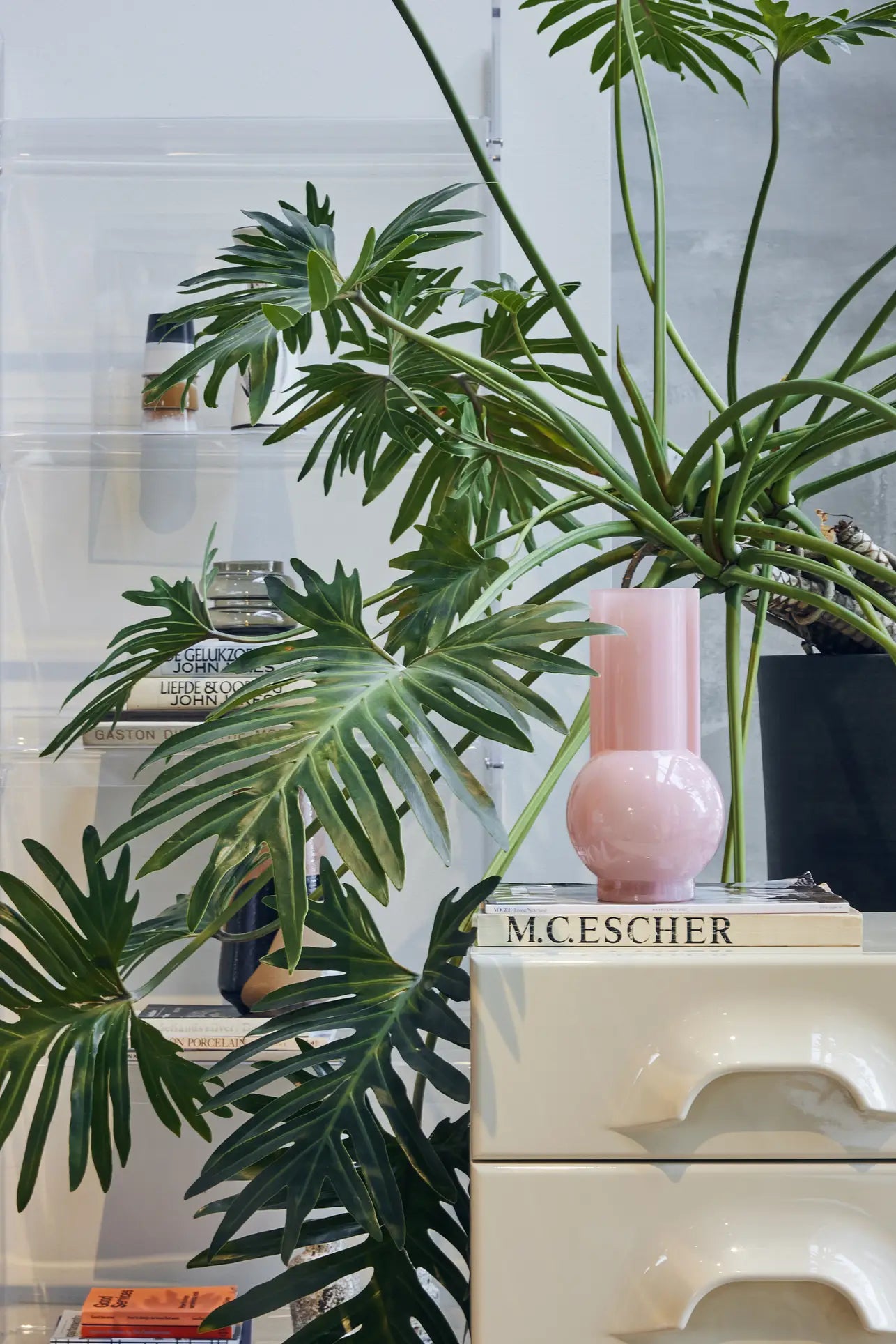 A large leafy plant stands by a white cabinet with "M.C. ESCHER" on top. An HKLIVING Glass Vase Flamingo Pink sits on the cabinet, while books and bottles are visible in the background on clear shelves.