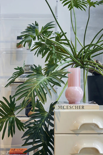 A large leafy plant stands by a white cabinet with "M.C. ESCHER" on top. An HKLIVING Glass Vase Flamingo Pink sits on the cabinet, while books and bottles are visible in the background on clear shelves.
