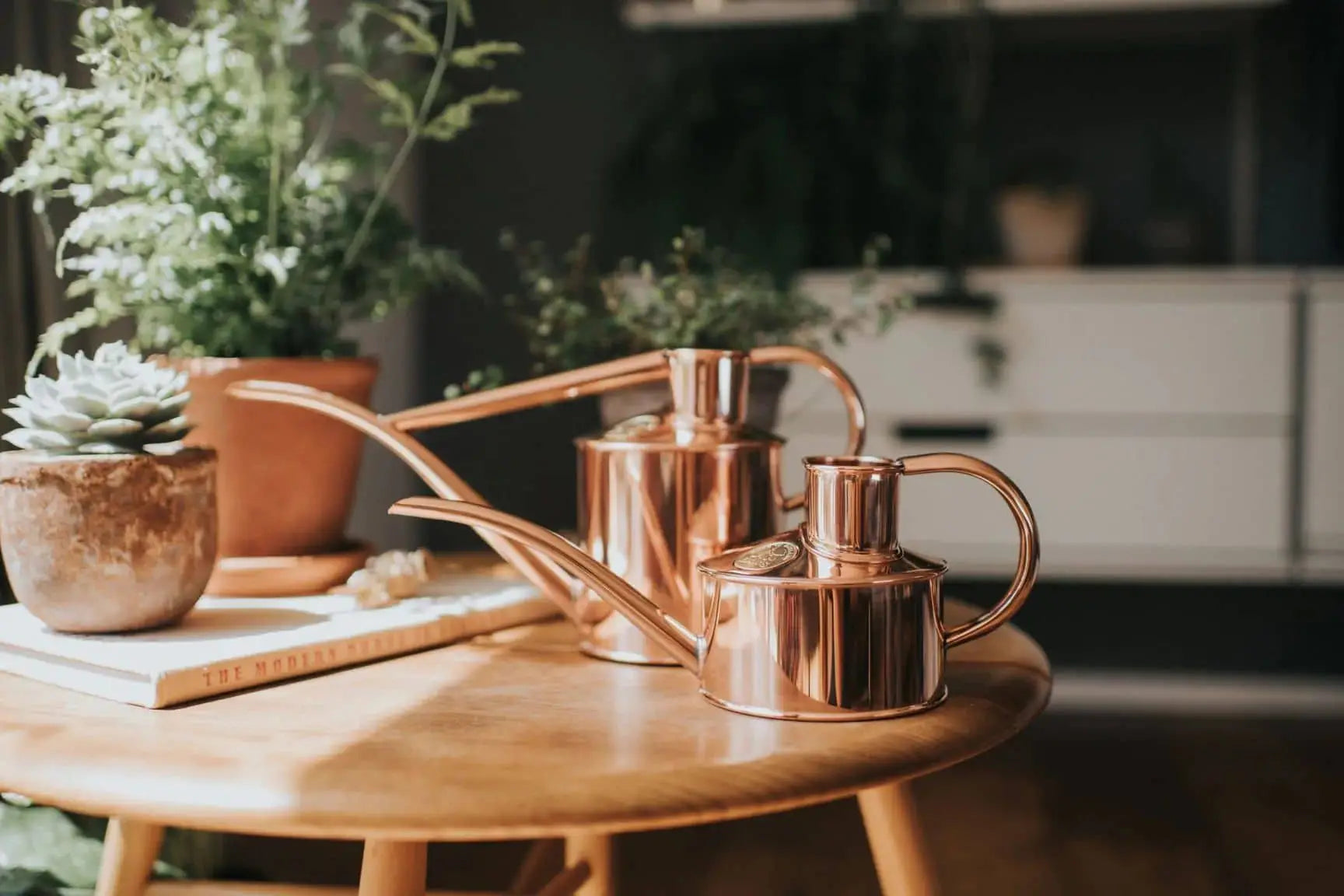 Two Haws The Fazeley Flow One Pint copper watering cans rest on a wooden table beside potted succulents and green herbs, illuminated by soft natural light for a warm, inviting feel.