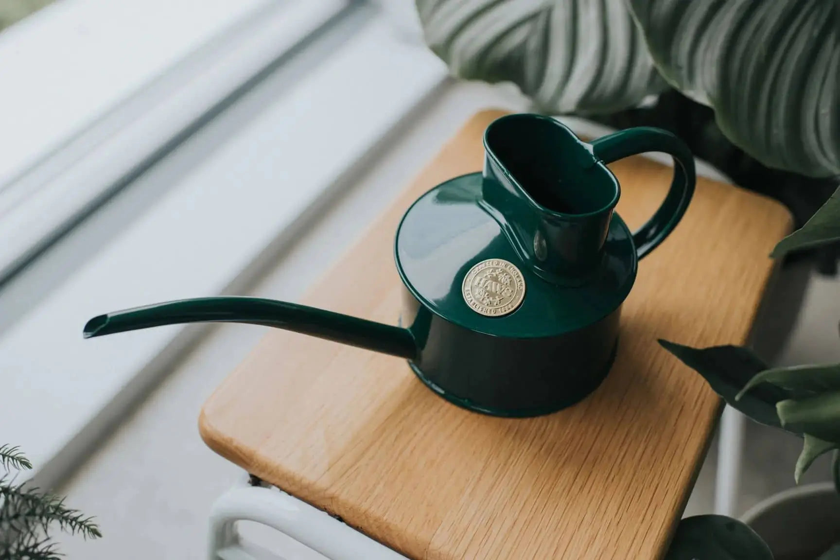 The Haws The Fazeley Flow One Pint by Haws, a stylish green metal watering can with a long spout, rests on a light wooden surface beside leafy green plants near a window.