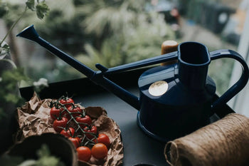 The Haws The Langley Sprinkler, a dark blue metal watering can with an adjustable head, sits beside vine tomatoes on brown paper and a spool of twine, with a blurred garden in the background.