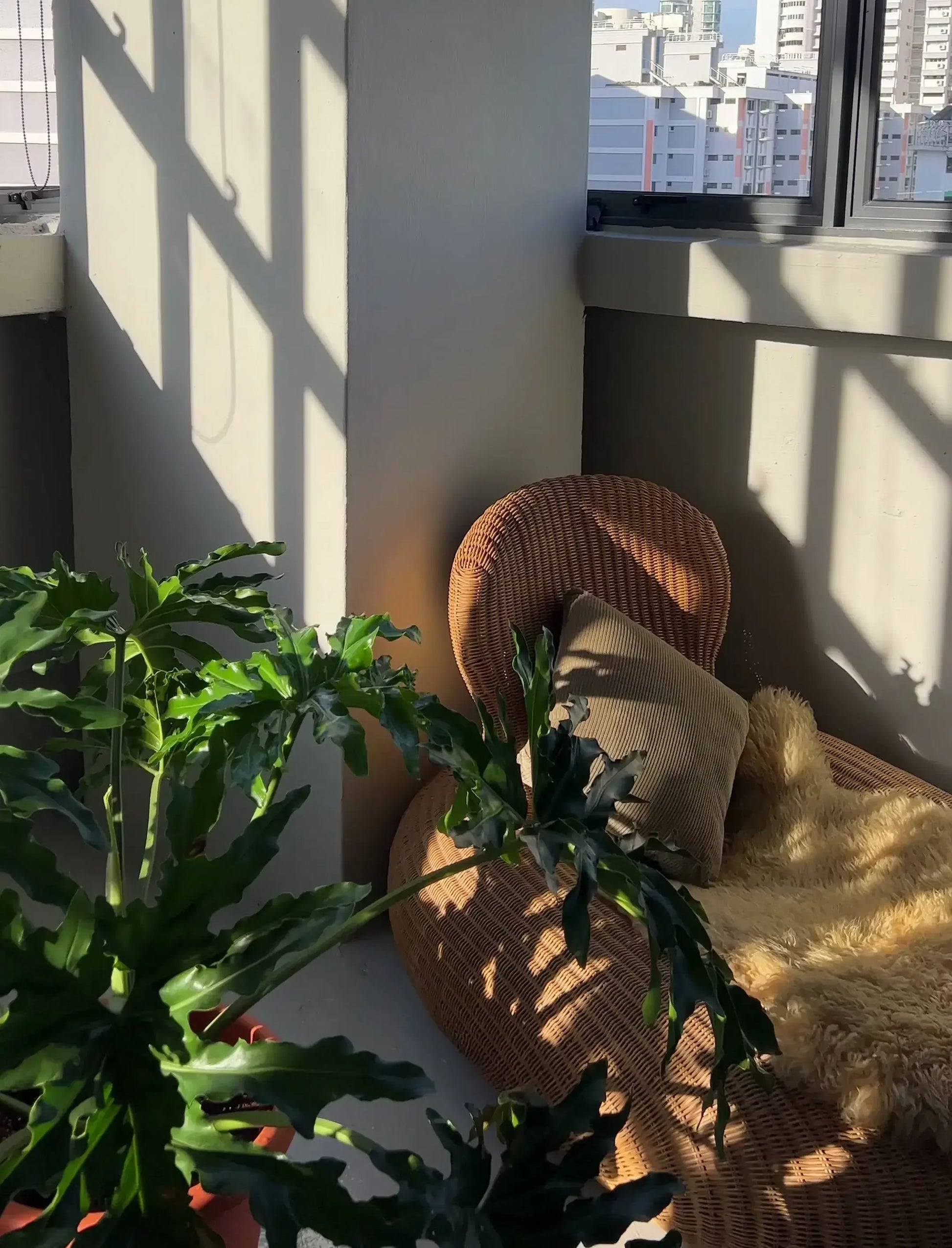 A cozy corner features the IKEA Rattan Storvik Lounge Chair with a tan pillow and soft beige throw, bathed in sunlight. A leafy green plant sits in the foreground, with city buildings visible through the sunlit window.
