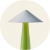 Color Image