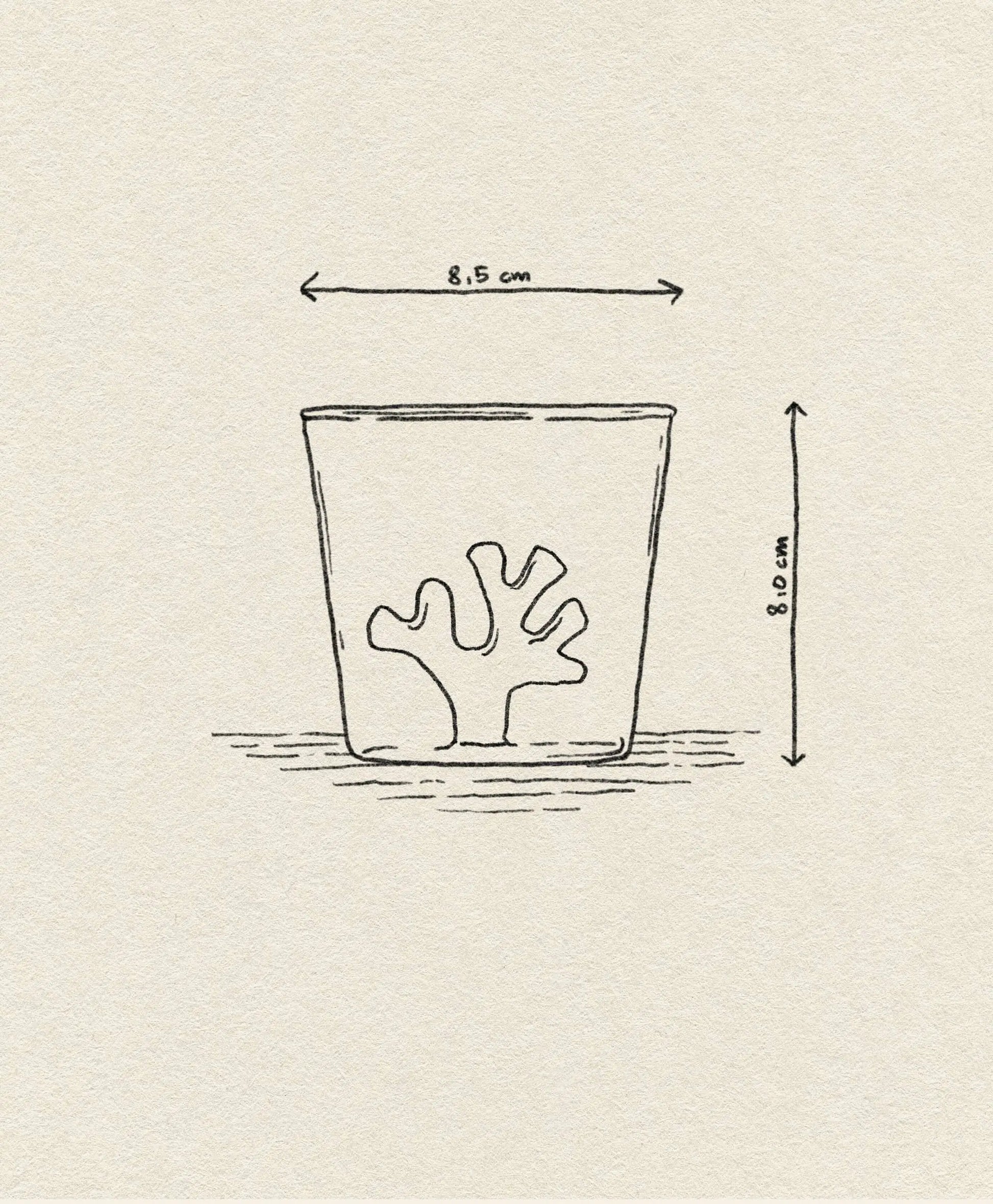 A line drawing of the Ichendorf Milano Coral Reef Tumbler, inspired by Alessandra Baldereschi, features cup dimensions—8.5 cm wide and 8.0 cm tall—labeled with arrows on textured paper, evoking underwater coral ecosystems.
