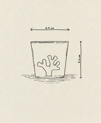 A line drawing of the Ichendorf Milano Coral Reef Tumbler, inspired by Alessandra Baldereschi, features cup dimensions—8.5 cm wide and 8.0 cm tall—labeled with arrows on textured paper, evoking underwater coral ecosystems.
