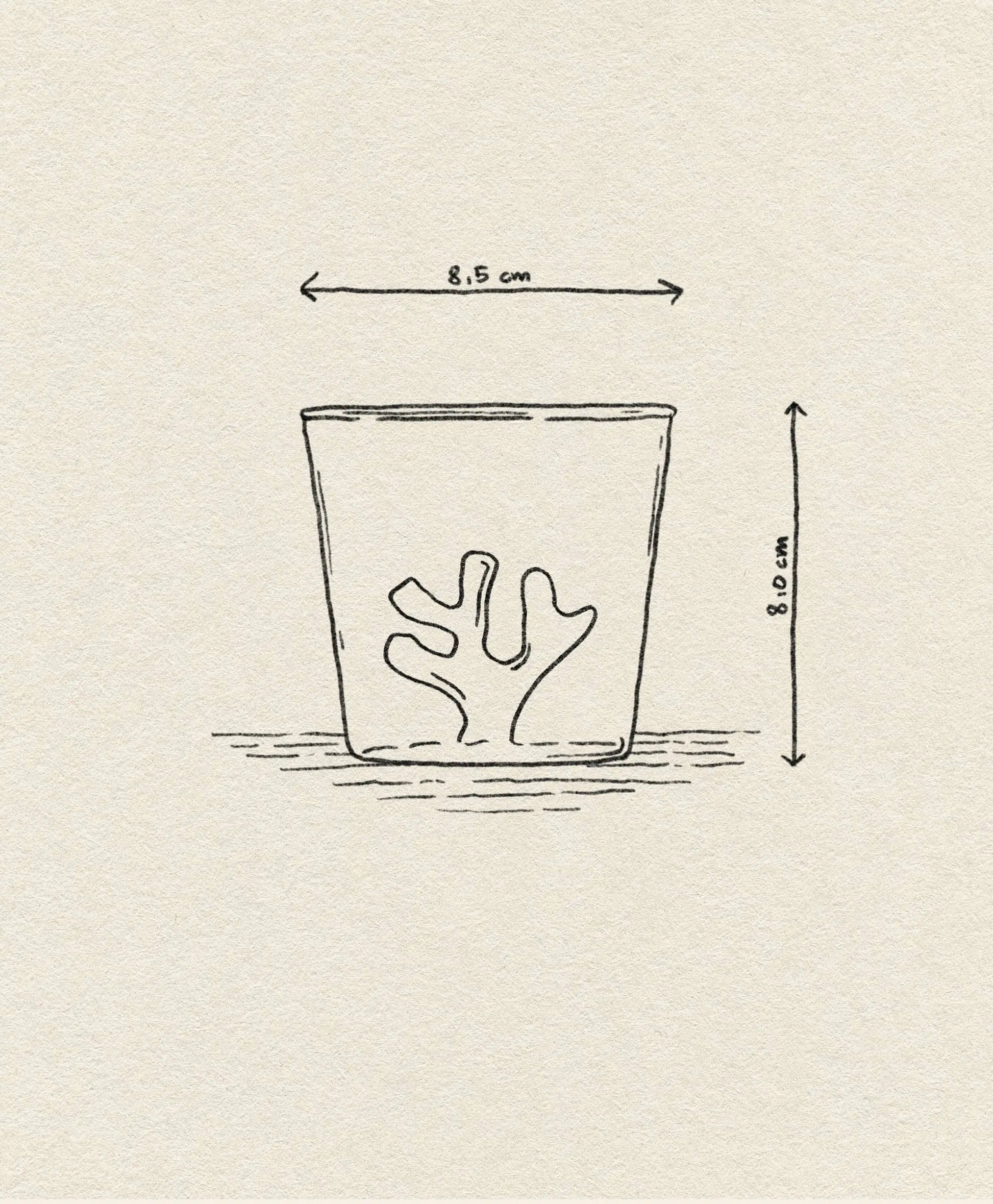 The Ichendorf Milano Coral Reef Tumbler by Ichendorf Milano features a simple line drawing of a glass with a coral-shaped object inside, resembling an underwater reef. The tumbler measures 8.5 cm wide and 8 cm tall, as shown beside and above the glass.