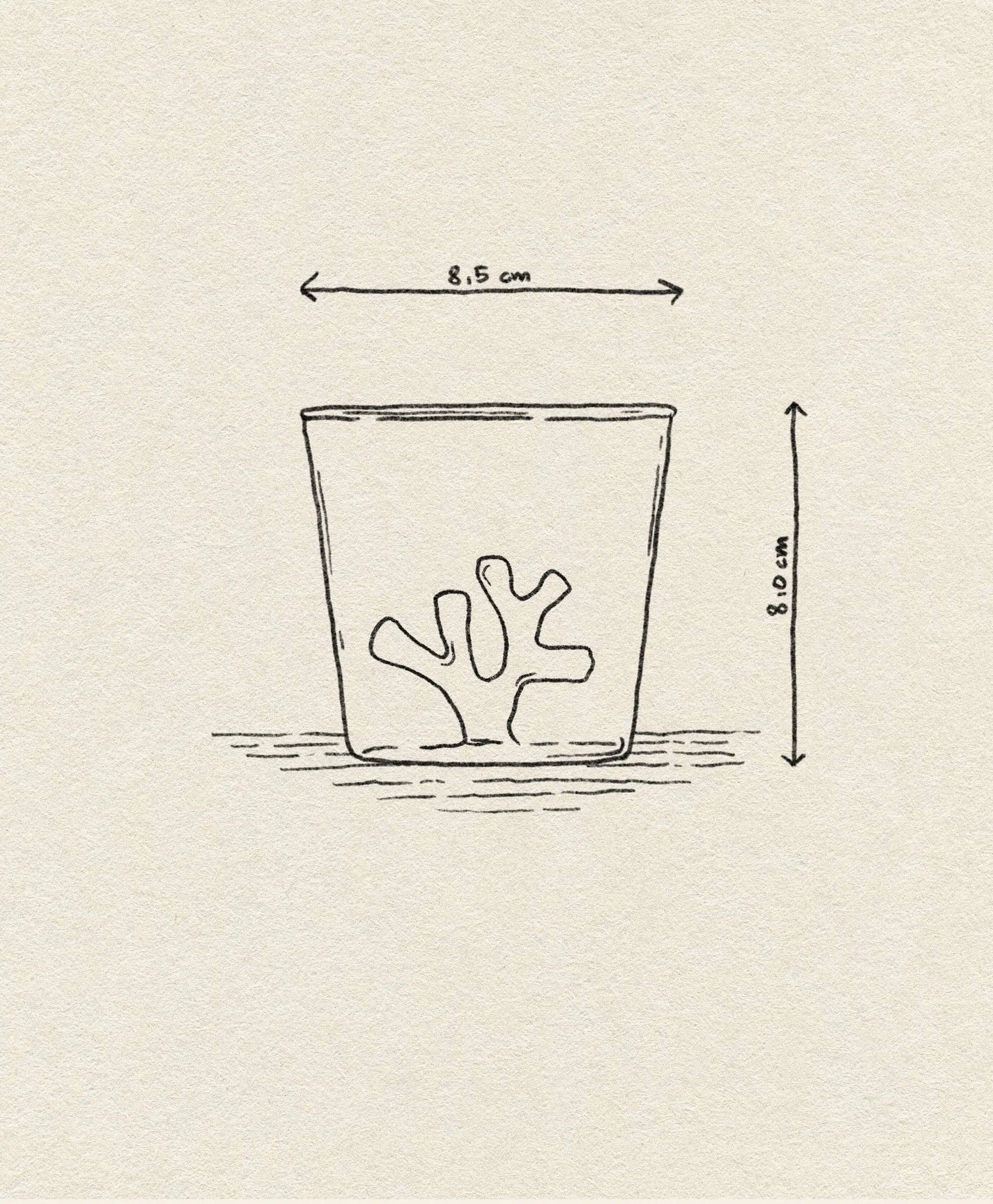 A line drawing of the Ichendorf Milano Coral Reef Tumbler by Ichendorf Milano shows its 8.5 cm width and 8.0 cm height, featuring a coral-shaped design that evokes underwater beauty.