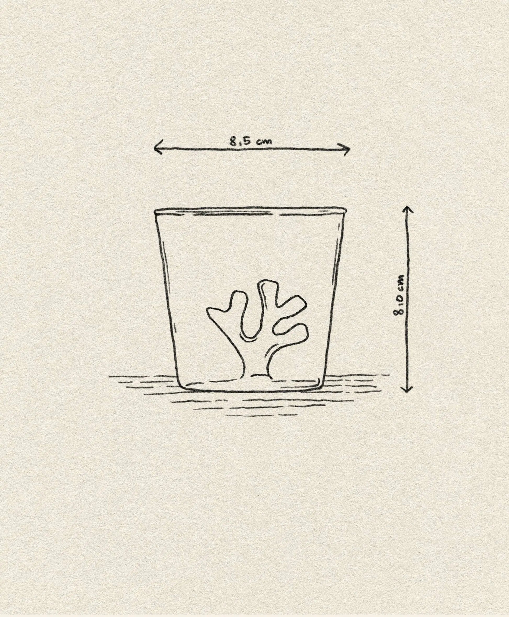 A simple sketch of the Ichendorf Milano Coral Reef Tumbler, featuring a coral reef-inspired design at the bottom. The glass measures 8.5 cm wide by 8.0 cm tall, with dimension arrows shown on a textured light background.