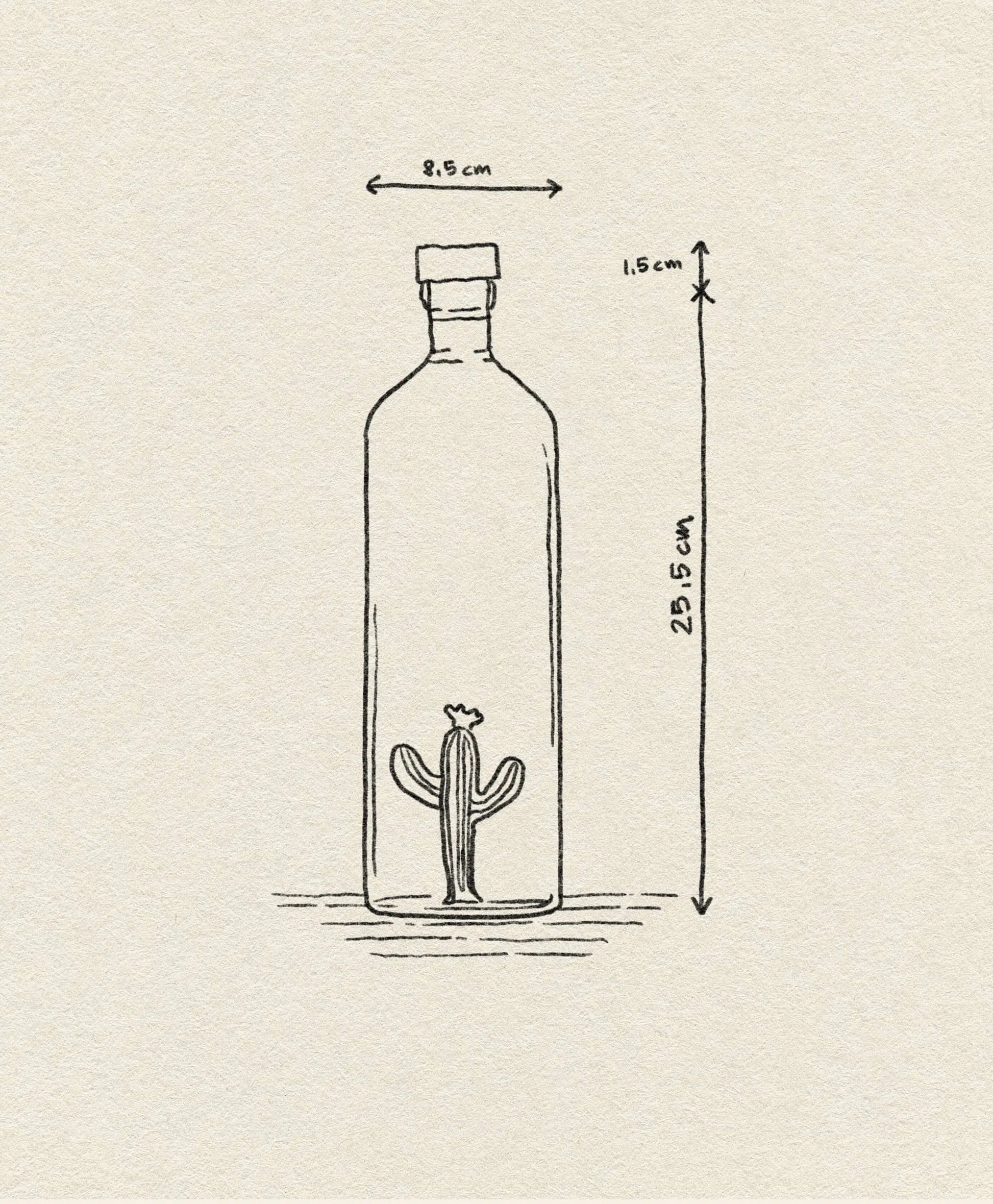 The Ichendorf Milano Desert Plants Bottle features a hand-drawn cactus design. Measuring 23.5 cm tall and 8.5 cm wide with a 1.5 cm neck, this unique glass display by Ichendorf Milano has a simple sketch style on textured paper.