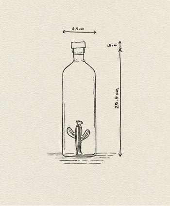 The Ichendorf Milano Desert Plants Bottle features a hand-drawn cactus design. Measuring 23.5 cm tall and 8.5 cm wide with a 1.5 cm neck, this unique glass display by Ichendorf Milano has a simple sketch style on textured paper.