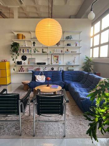 A cozy living room features a Ligne Roset Togo 3 Seater sofa in blue, two black chairs, a round wood table, paper lantern ceiling light, bookshelves with decor, plants, and large windows for a modular mid-century feel.