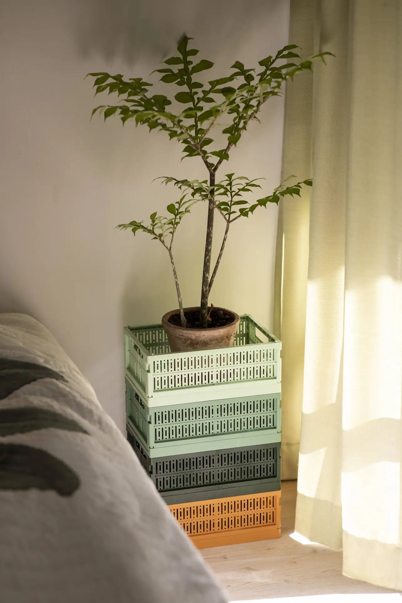 A potted plant sits atop Made Crate’s eco-friendly Made Crate Midi folding crates in varying green shades, stacked for convenience next to a bed and a sunlit window with pale curtains.