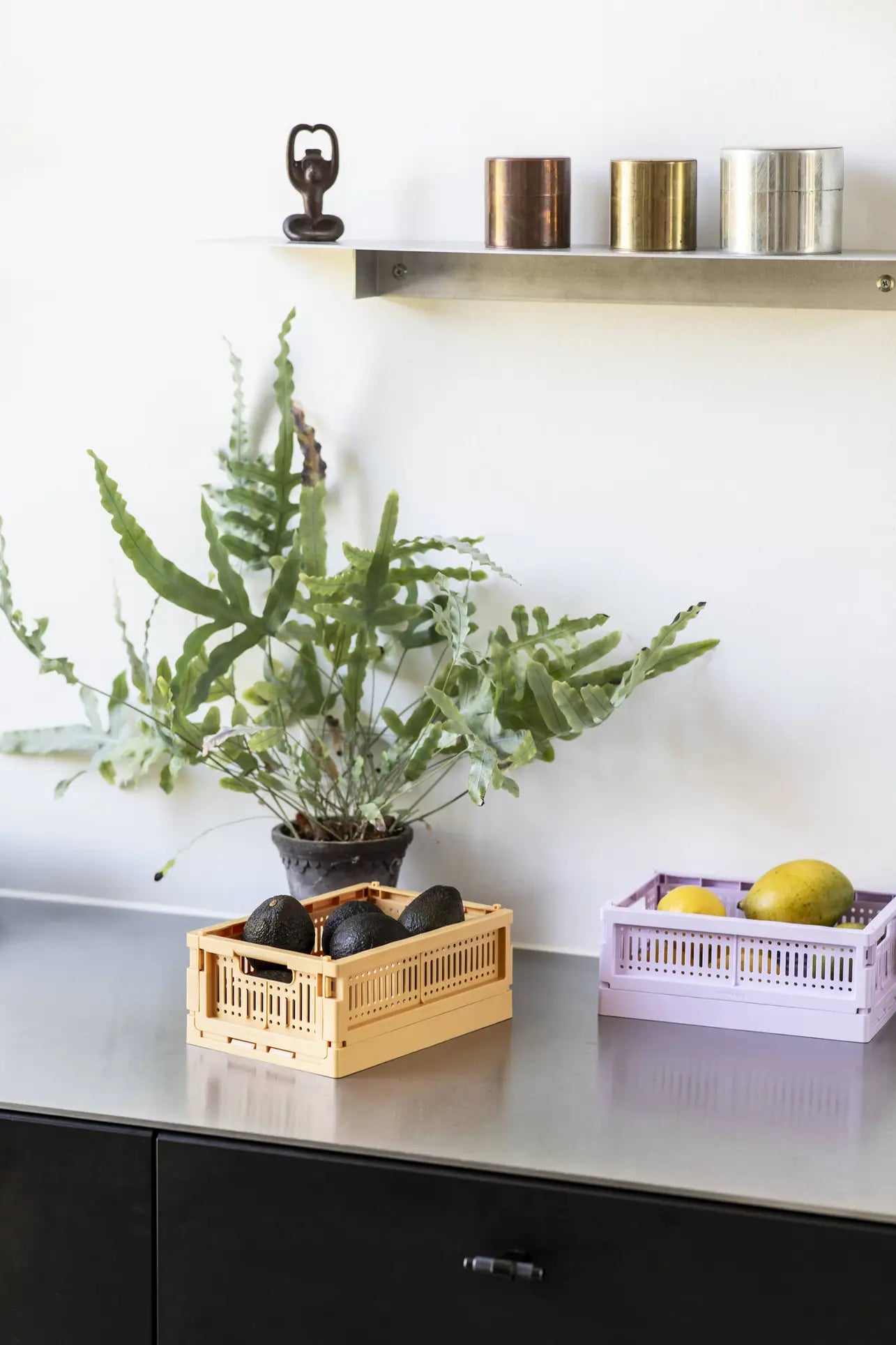 A kitchen countertop displays a potted fern in a Made Crate Mini eco-friendly folding crate (Made Crate), with avocados nearby and another pastel purple Made Crate Mini holding lemons and a mango; above, a shelf holds three metallic canisters and a small sculpture.