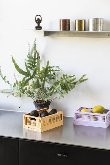 A kitchen countertop displays a potted fern in a Made Crate Mini eco-friendly folding crate (Made Crate), with avocados nearby and another pastel purple Made Crate Mini holding lemons and a mango; above, a shelf holds three metallic canisters and a small sculpture.
