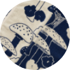 Color Image