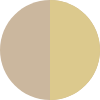 Color Image