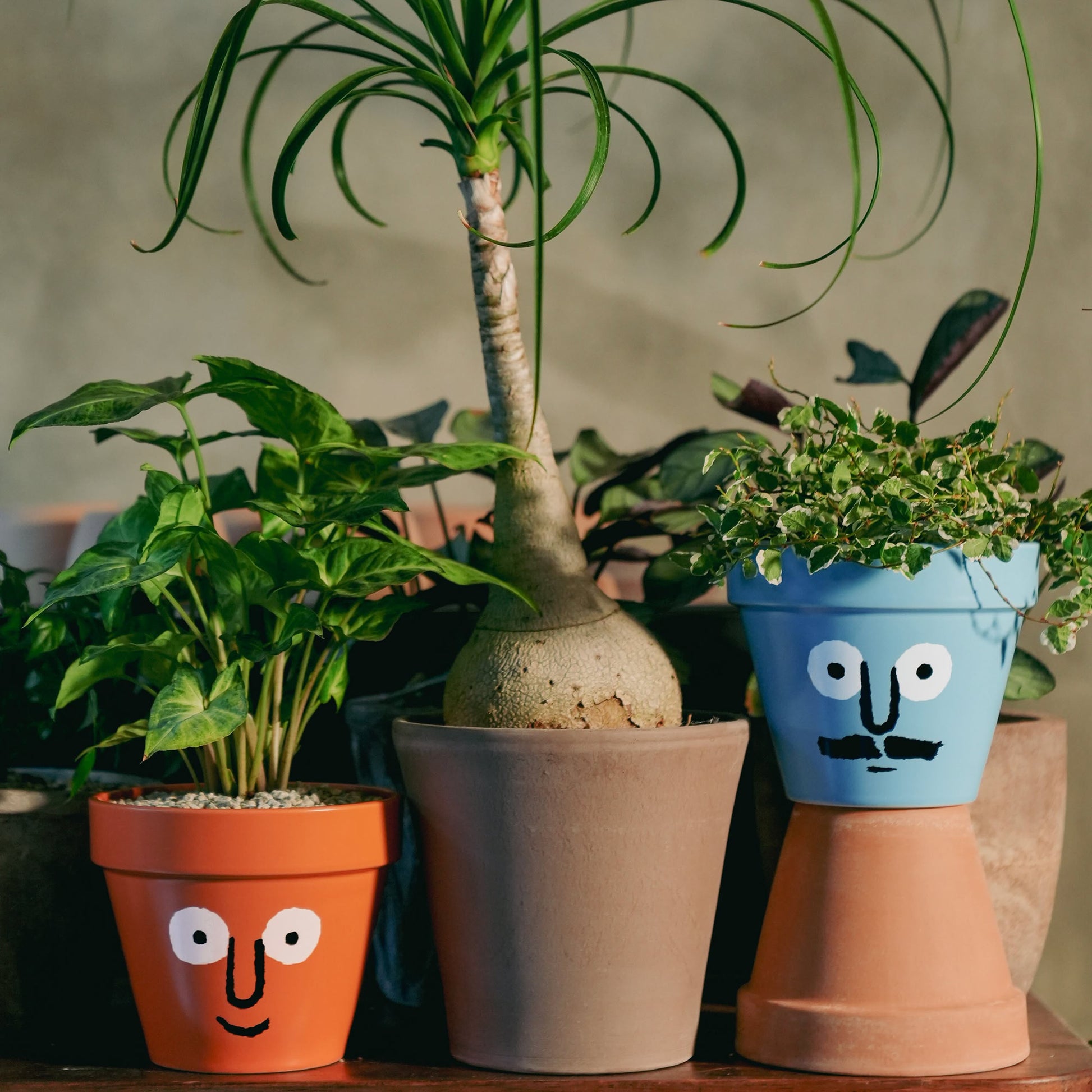 NouNou PotPot Blue