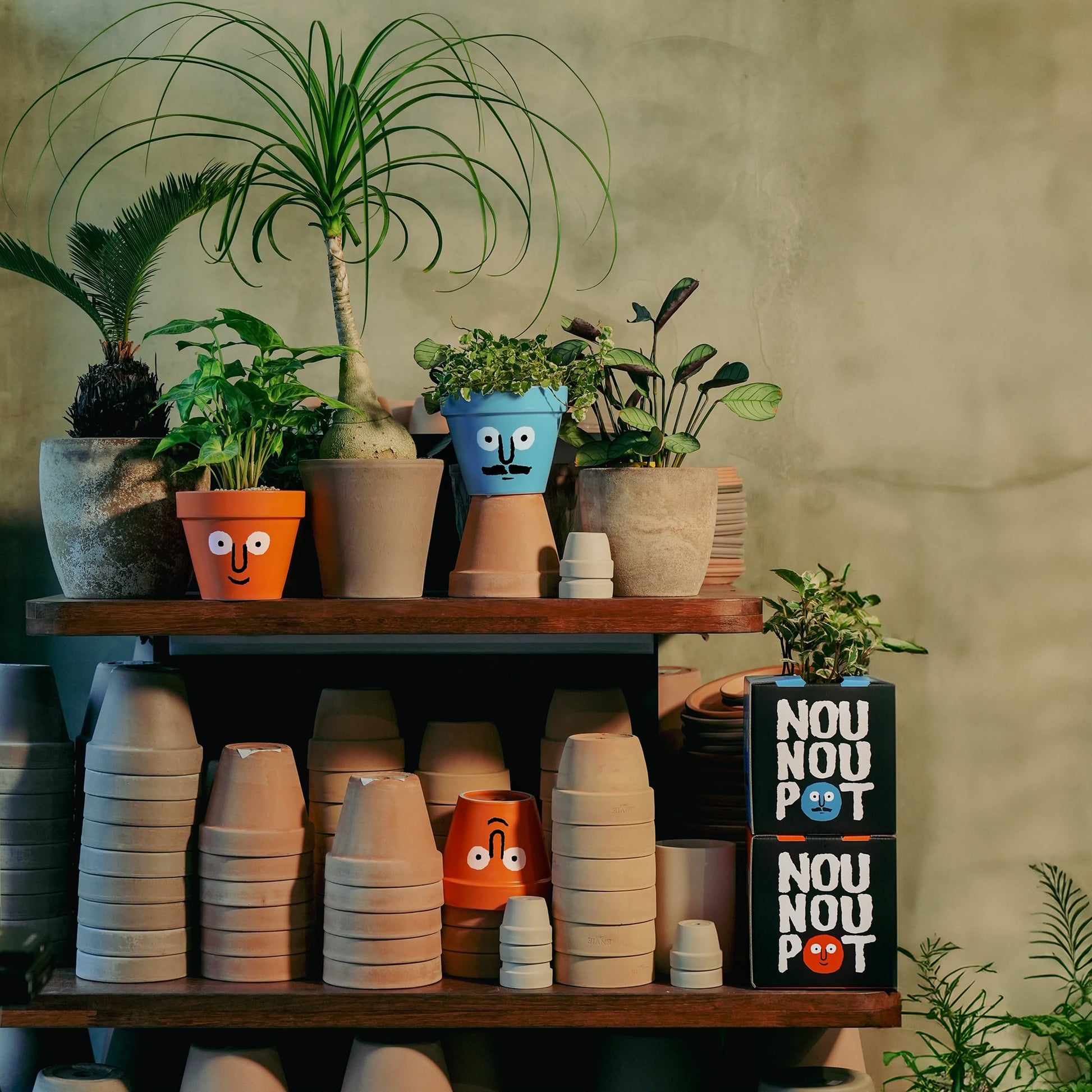NouNou PotPot Orange