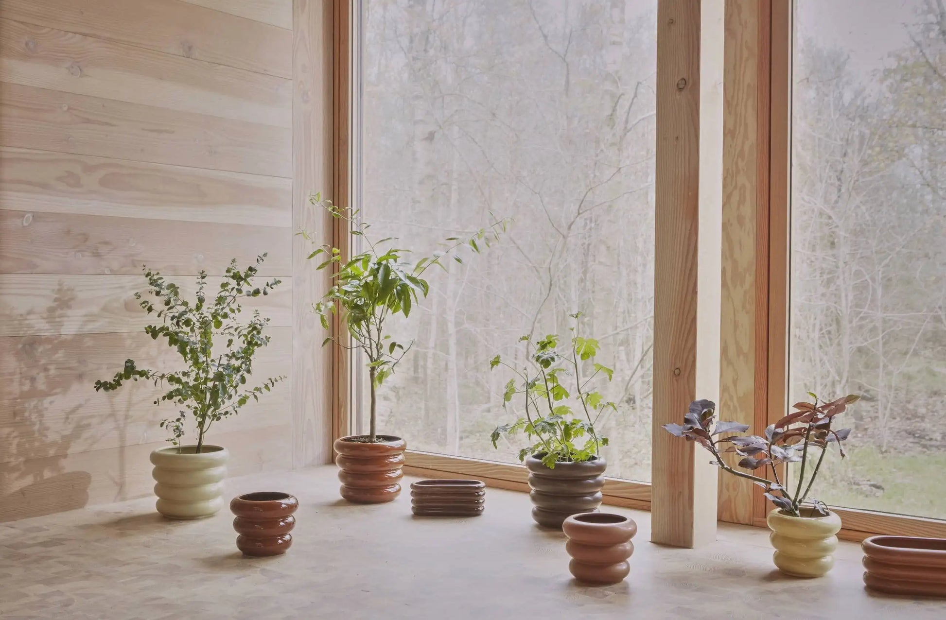 Five OYOY Living Design Awa Pot, Long planters are arranged on a wooden floor by a large window with tree views. Sunlight softly highlights the earthenware, creating a calm and natural atmosphere.