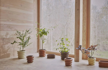Five OYOY Living Design Awa Pot, Long planters are arranged on a wooden floor by a large window with tree views. Sunlight softly highlights the earthenware, creating a calm and natural atmosphere.