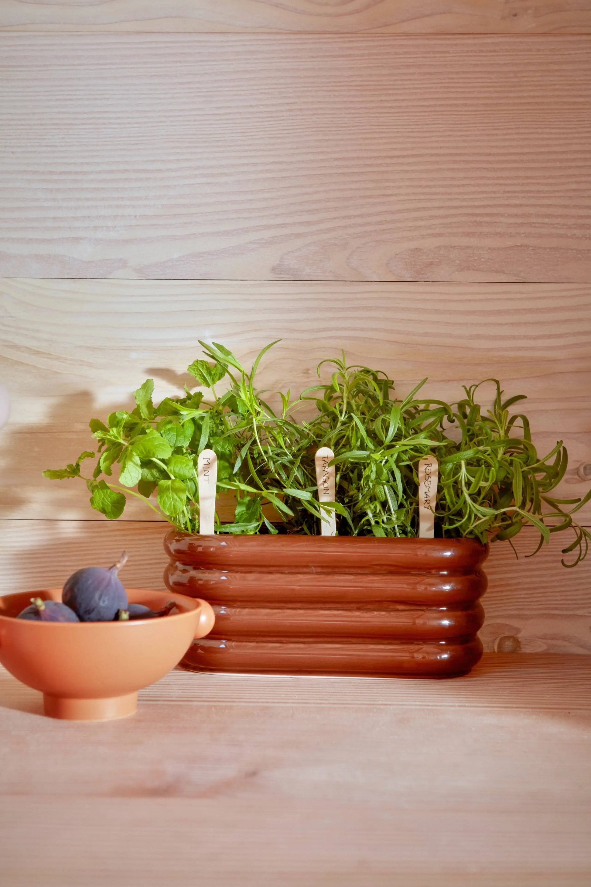 The OYOY Living Design Awa Pot, Long, in brown, holds fresh herbs with wooden markers on a light wooden surface beside a peach bowl of figs, set against light wood wall paneling.