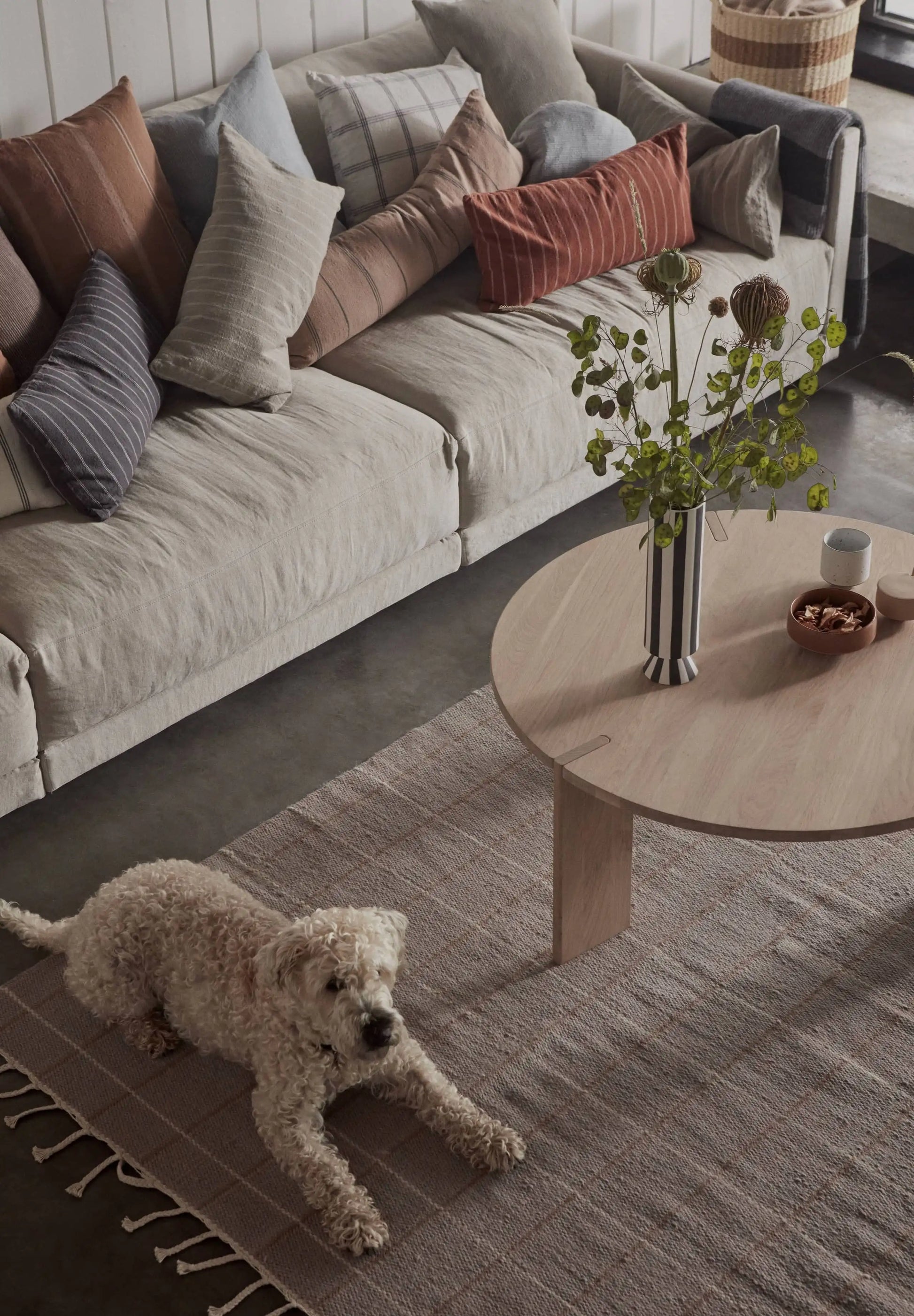 A curly-haired dog rests on the OYOY Living Design Grid Rug, featuring graphic squares, placed by a beige sofa with assorted pillows; a round wooden coffee table holding a floral vase and small bowls is nearby.