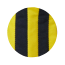 Color Image