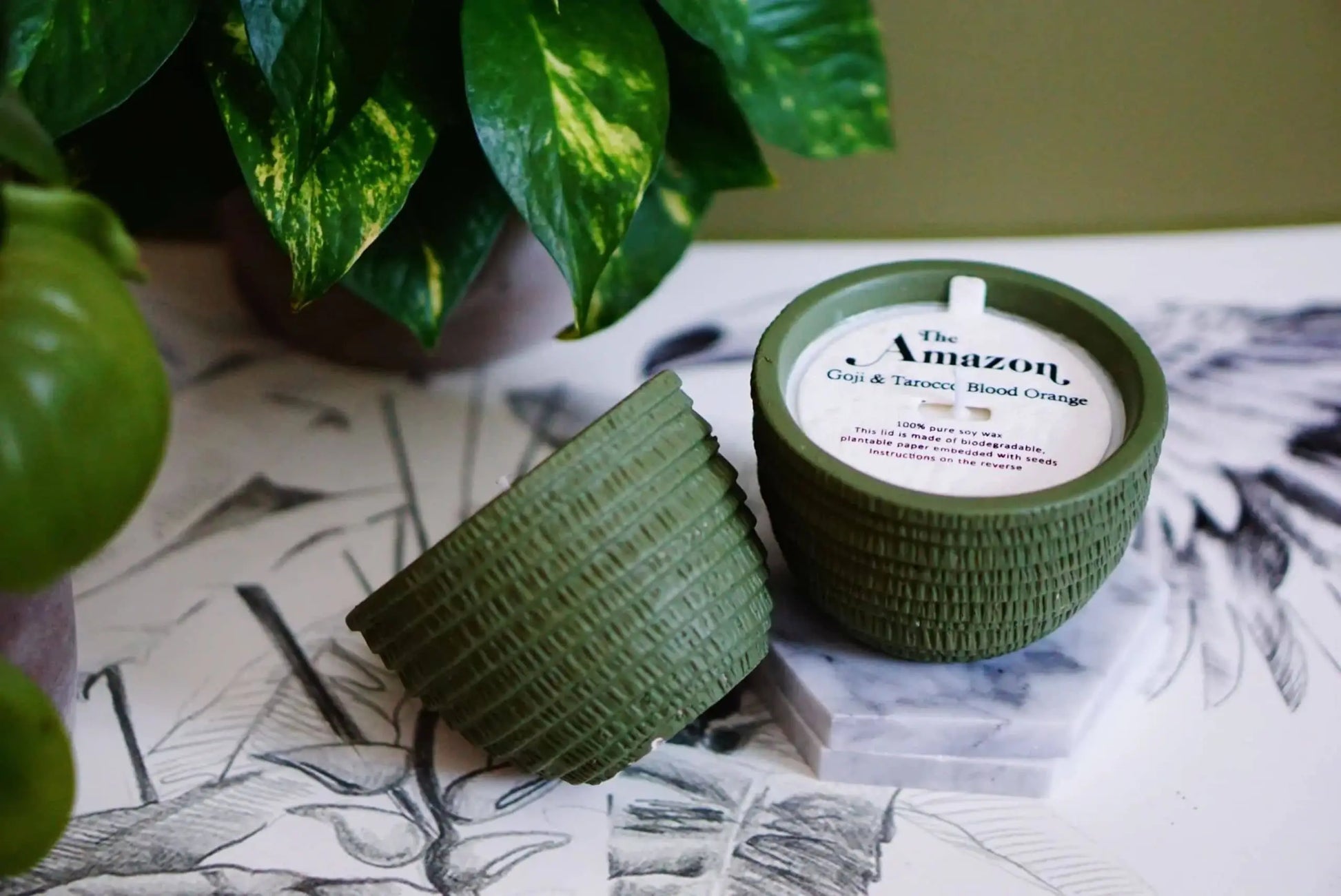 A green Pass It On Amazon Candle from Pass It On, labeled “The Amazon, Goji & Tarocco Blood Orange,” rests on a black and white botanical illustration. A matching green container and leafy plant evoke an exotic, fruity ambiance.