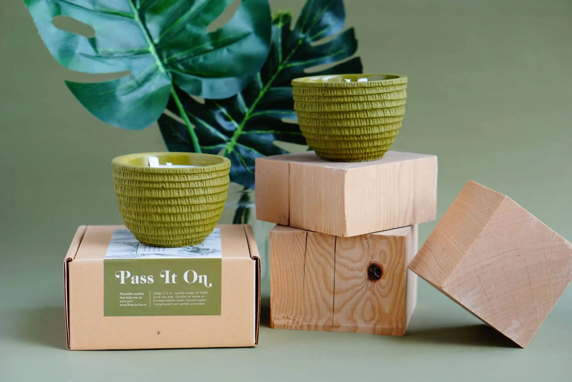 Two Pass It On Congo Basin Candles in green textured bowls sit on wooden blocks and a Pass It On box, with a large green leaf and muted green backdrop, suggesting an energizing fragrance.