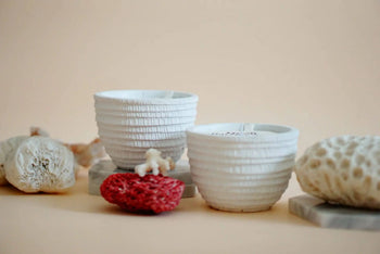 Two white, textured Pass It On Great Barrier Reef Candles are set on a beige surface amid coral pieces, including a vivid red one inspired by the Great Barrier Reef, creating a serene aroma therapy ambience.