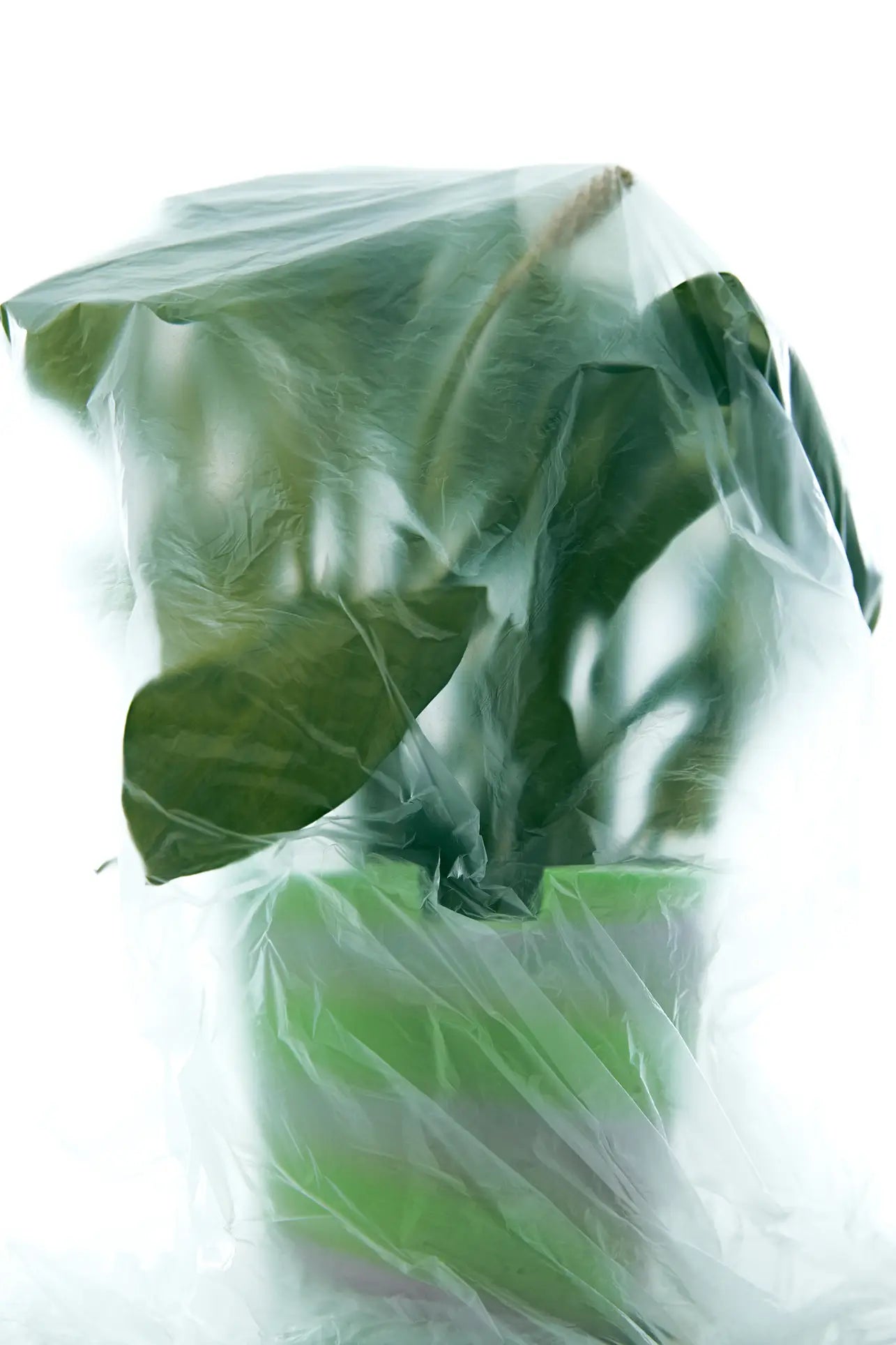 The Plastic Ark Dirty Pot by Plastic Ark, a green potted plant in a recycled plastic pot wrapped in a clear bag, sits against a white background—showcasing eco-friendly gardening.