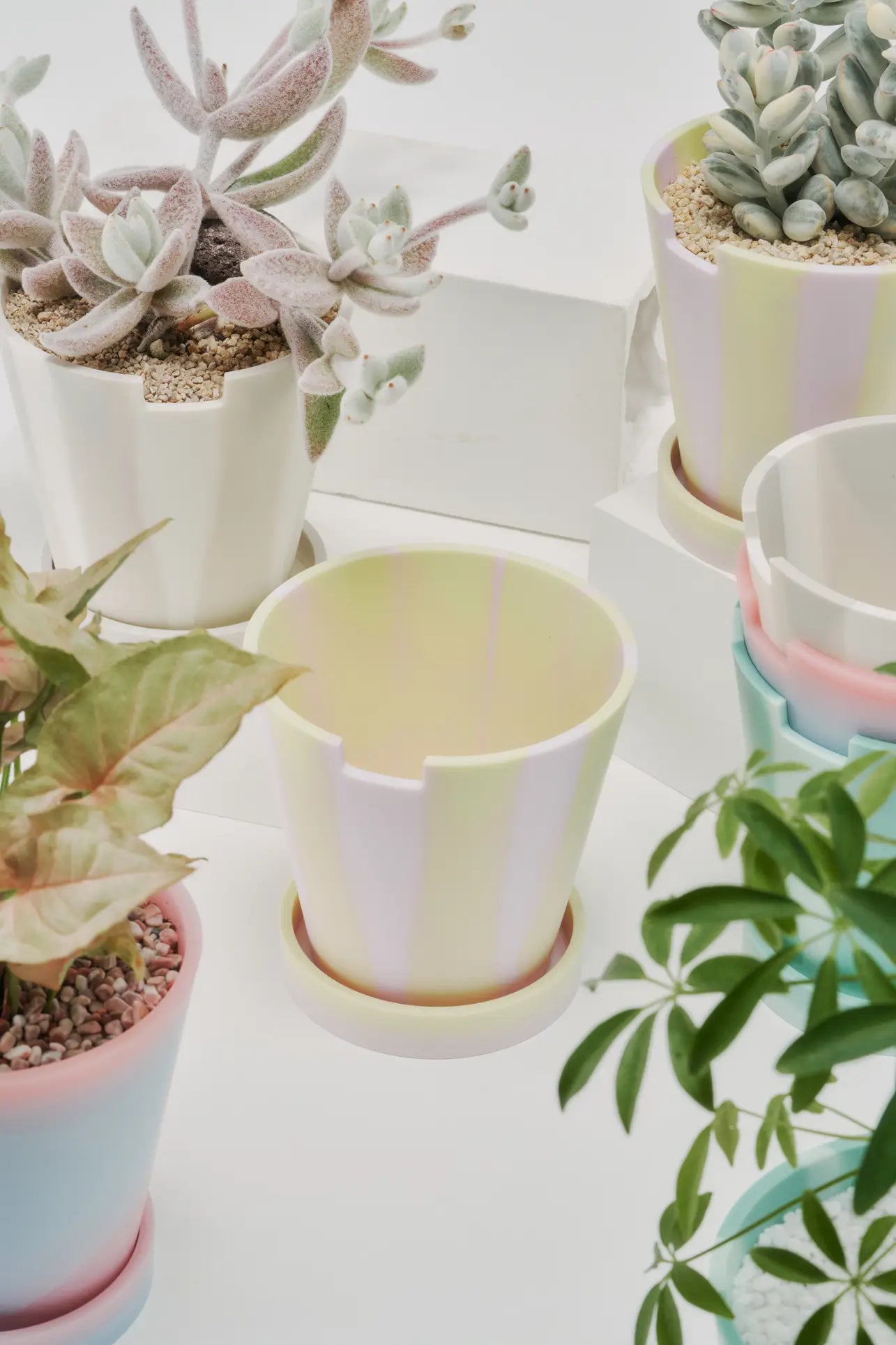Plastic Ark Dirty Pots in pastel colors, some with succulents and leafy plants, are arranged on a white surface. A distinctive empty Plastic Ark Dirty Pot is featured at the center, creating a bright, softly lit display.