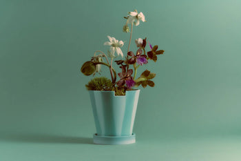 The Plastic Ark Dirty Pot by Plastic Ark, in light blue, displays white and purple flowers and plants against a solid teal background.