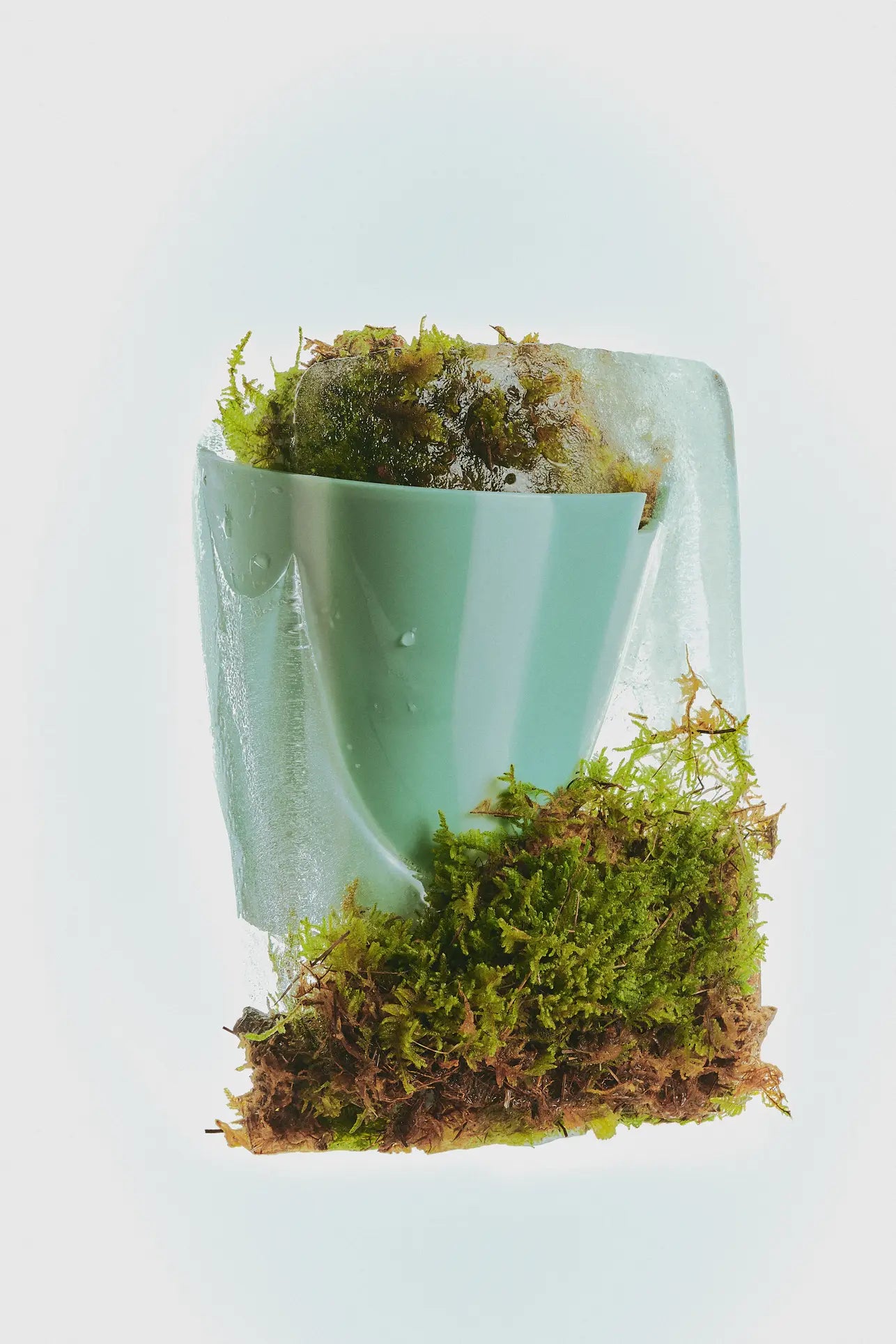 The Plastic Ark Dirty Pot by Plastic Ark, in pale blue, is encircled by green moss and partially covered in clear ice, all set against a white backdrop.