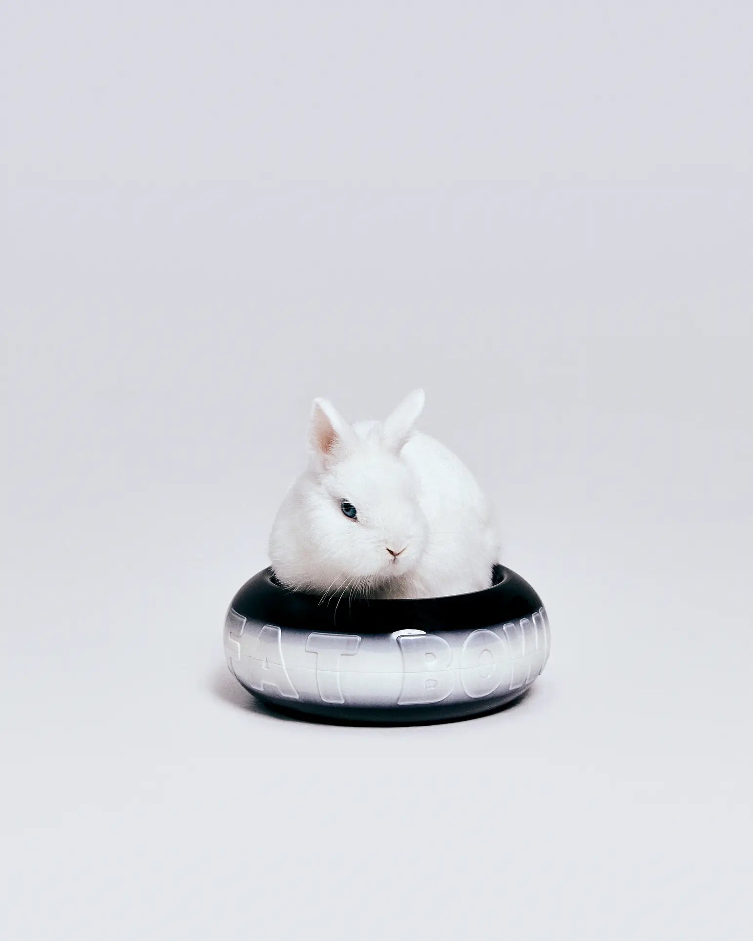 A white rabbit sits comfortably inside a black and silver Plastic Ark Fat Bowl by Plastic Ark, made from recycled plastic, with the words FAT BOWL partially visible on its side against a plain light background.