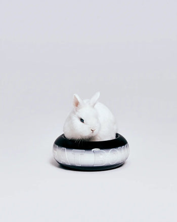 A white rabbit sits comfortably inside a black and silver Plastic Ark Fat Bowl by Plastic Ark, made from recycled plastic, with the words FAT BOWL partially visible on its side against a plain light background.
