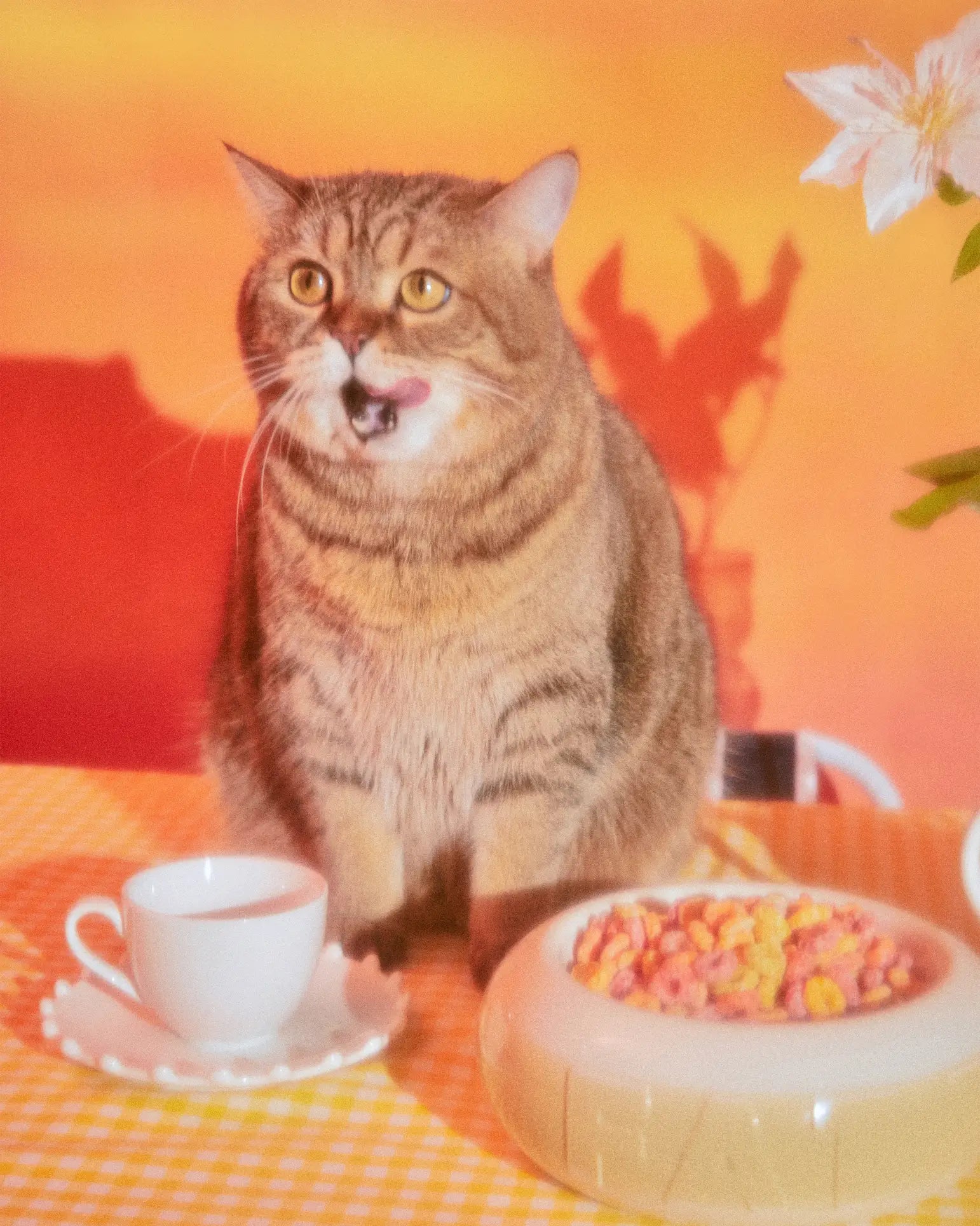 A chubby tabby cat sits at a table with tea and colorful cereal in the Plastic Ark Fat Bowl by Plastic Ark, mouth open as if mid-meow, against an orange background with a flower in the corner.