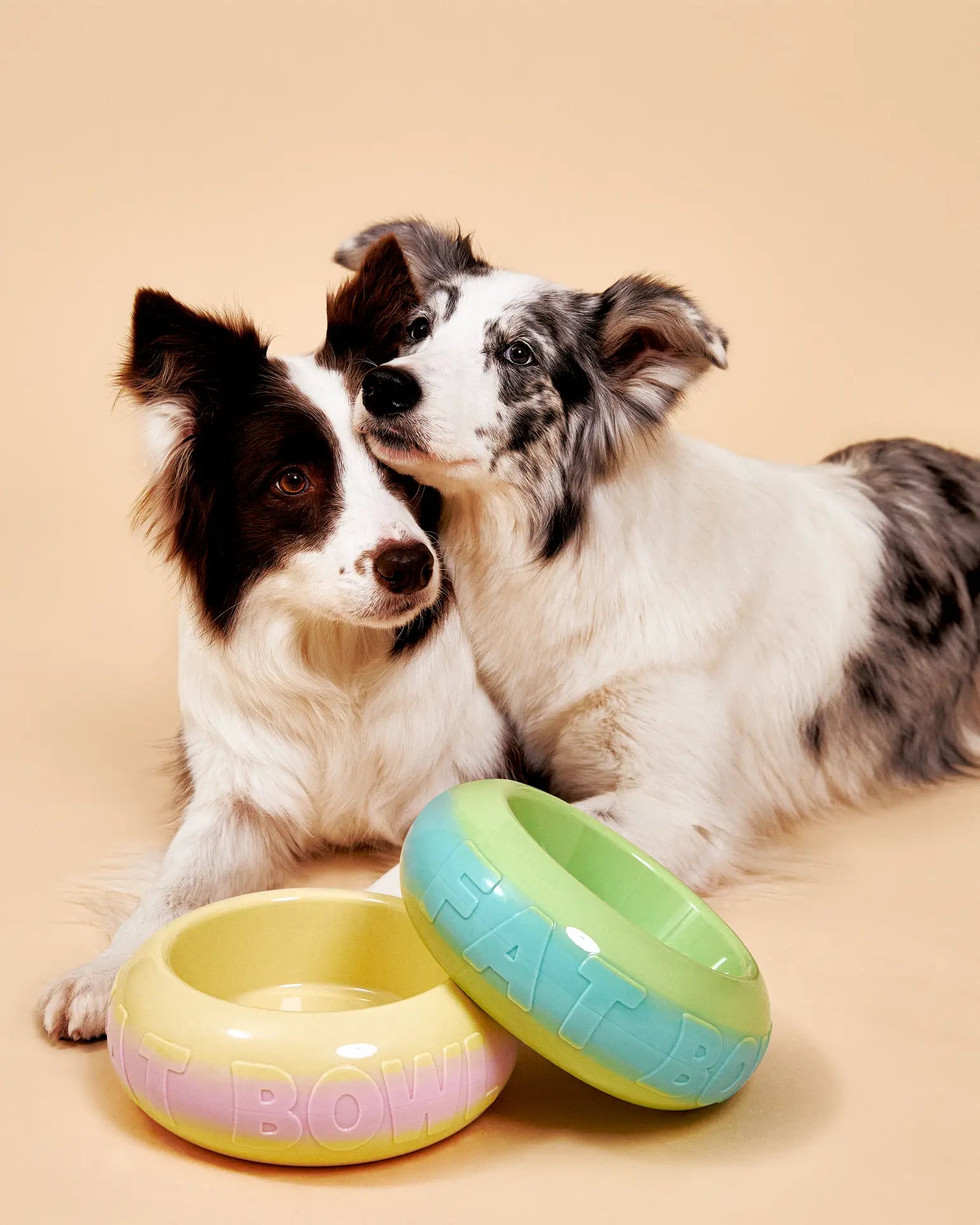 Two dogs, one black and white and one white and gray, sit together behind two colorful Plastic Ark Fat Bowls by Plastic Ark—one yellow and one green—made from recycled plastic, on a beige background.