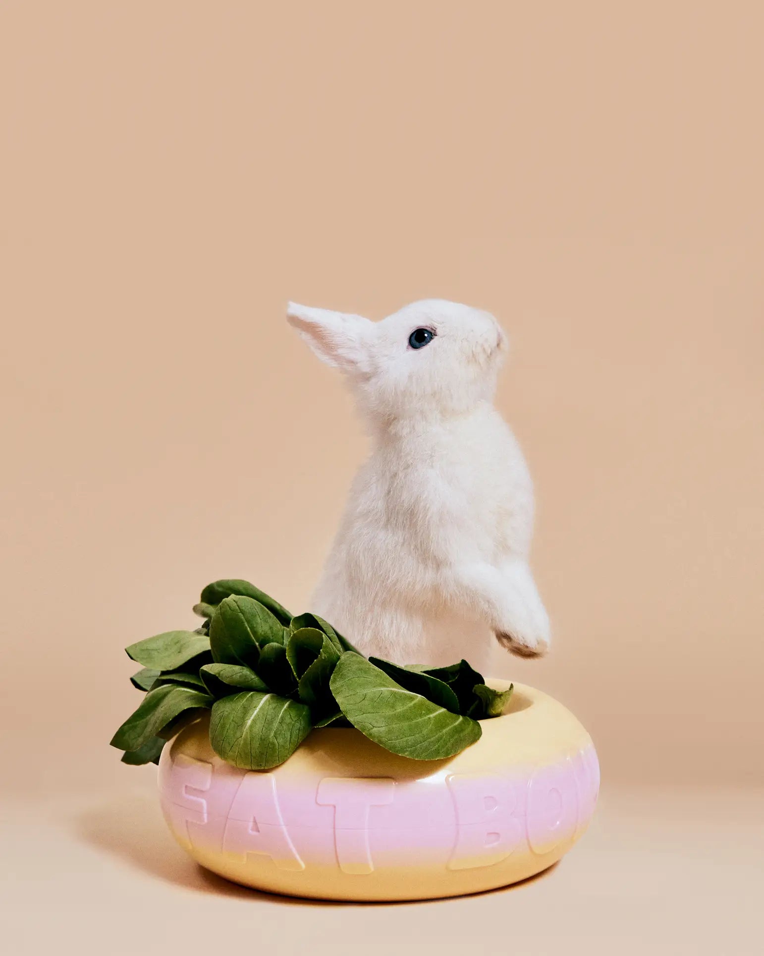 A small white rabbit stands upright in a pastel pink and yellow Plastic Ark Fat Bowl by Plastic Ark, made from recycled plastic with spinach leaves inside, against a plain beige background. EAT BOW is embossed on the bowls side.