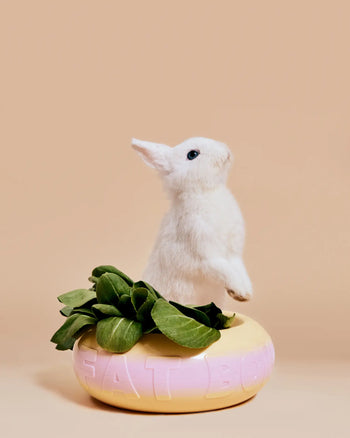 A small white rabbit stands upright in a pastel pink and yellow Plastic Ark Fat Bowl by Plastic Ark, made from recycled plastic with spinach leaves inside, against a plain beige background. EAT BOW is embossed on the bowls side.