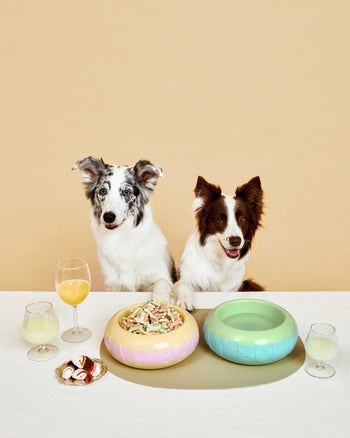 Two dogs sit at a table with Plastic Ark Fat Bowls by Plastic Ark—one empty, one full—made from recycled plastic. Glasses of drinks and a plate of treats are also on the table, set against a plain beige background.