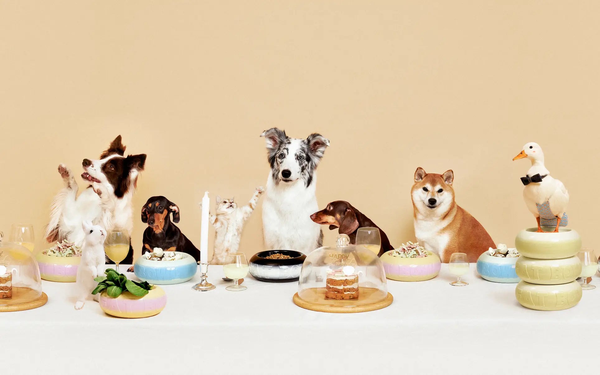 A group of dogs, a cat, a rabbit, and a duck in bow ties sit at a table with cakes, drinks, candles, and salads served in Plastic Ark Fat Bowls by Plastic Ark, their party set against a beige background for an elegant dinner effect.
