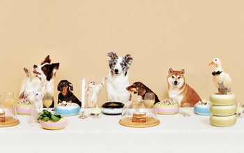 A group of dogs, a cat, a rabbit, a bird, and a duck in a bow tie sit at a table with cakes, drinks, and salads served in Plastic Ark Fat Bowl by Plastic Ark, resembling a formal dinner party against a beige background.