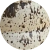 Color Image