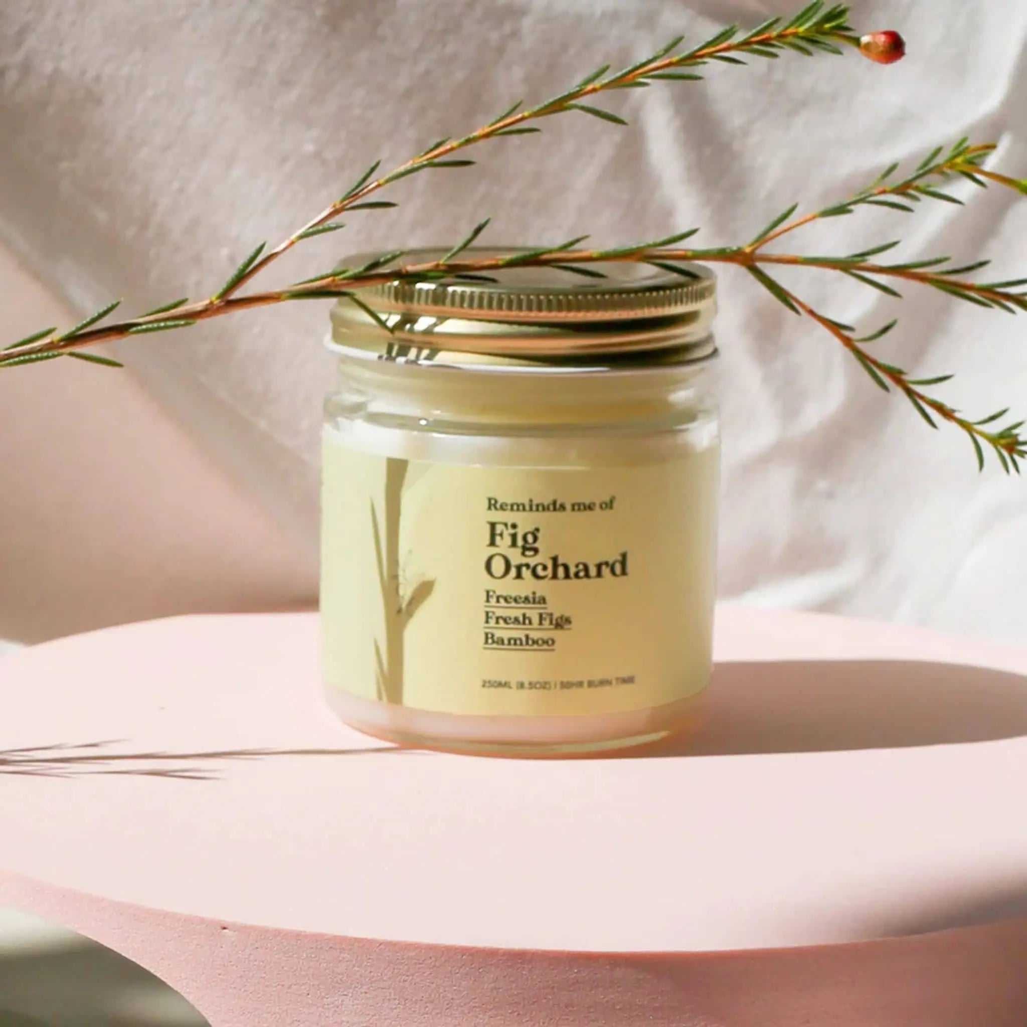 Reminds Me Of Fig Orchard Candle