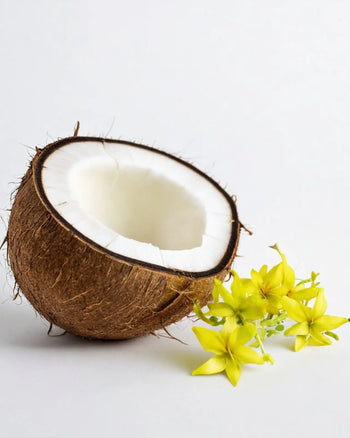 The Reminds Me Of Poolside Candle, 10oz by Reminds Me Of is set beside bright yellow flowers and half a coconut with white flesh, evoking the fresh, creamy scent of coconut milk on a crisp white background.