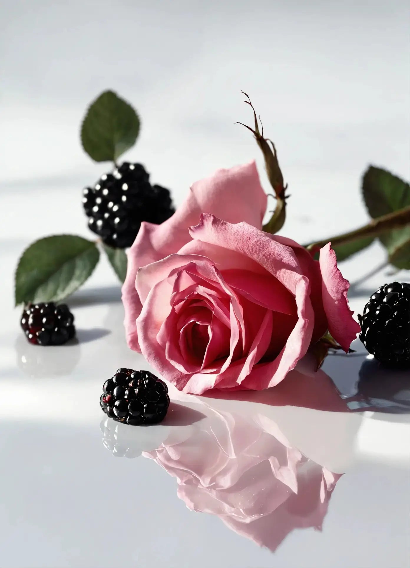 A pink rose rests on a glossy white surface with blackberries and green leaves, echoing the delicate essence of the Reminds Me Of Young Love Candle, 10oz by Reminds Me Of. Soft shadows and petals complete this romantic scene.