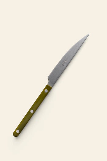 The Sabre Bistrot Vintage Dinner Knife by Sabre features a pointed blade and an olive green handle with three rivets, shown on a light background. Ideal as a rustic French-style dinner knife to enhance any table setting.